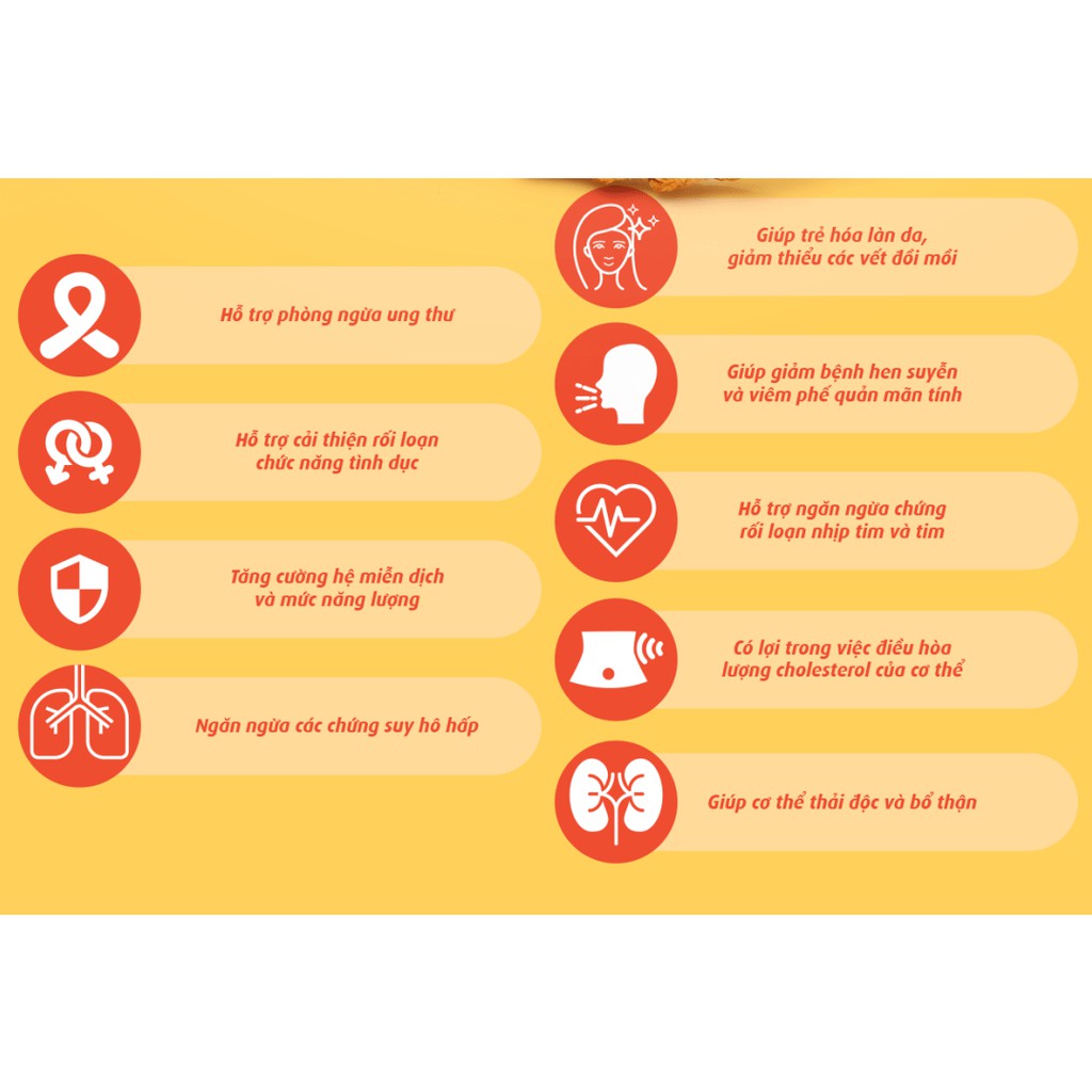 [Mã GROSALE2703 giảm 8% đơn 250K] Combo 25gr Đông Trùng Hạ Thảo Sấy &amp; 30gr Nấm Linh Chi Xay