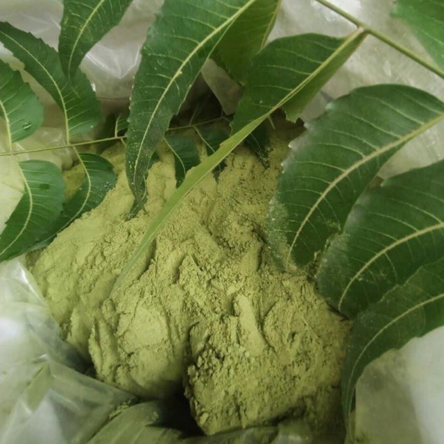 1Kg Bột Lá Neem Nguyên Chất