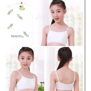 Combo 5 Áo lá học sinh cotton 4 chiều siêu co giãn -Không đệm mút.