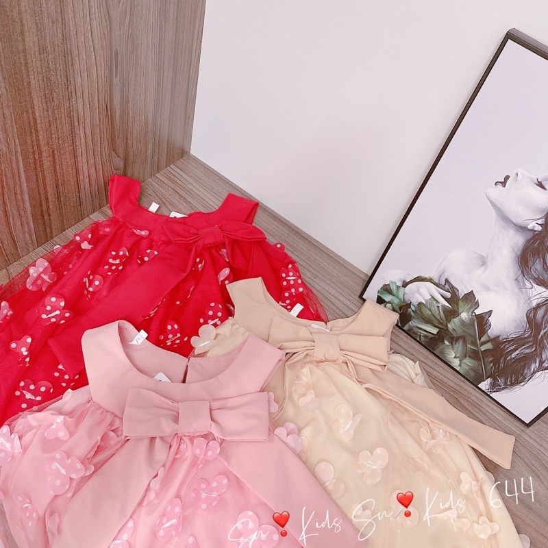 Váy ren thêu 2 lớp sn kids