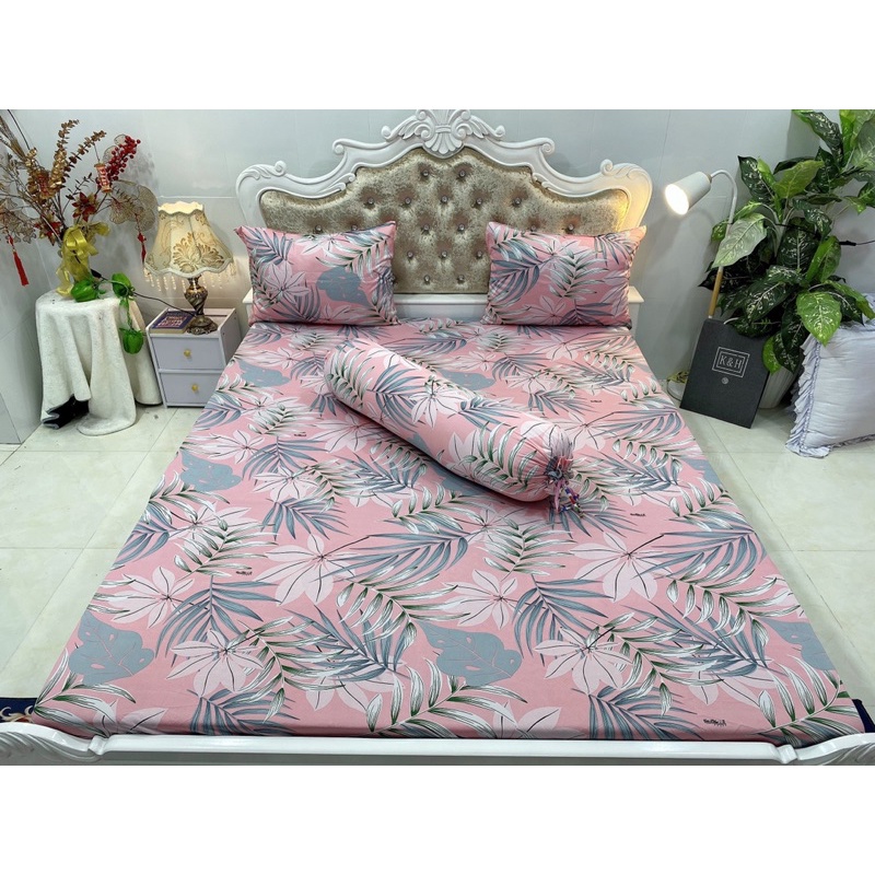 Bộ drap thun hàn quốc 4 món mẫu lá gồm 6 màu siêu đẹp