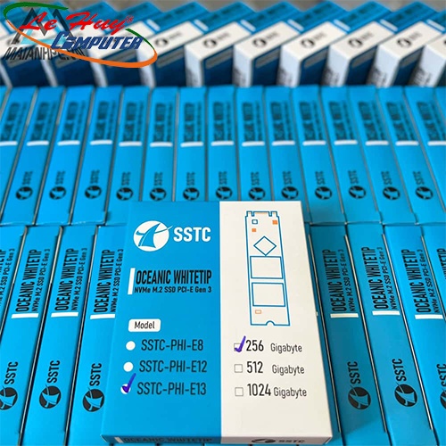 Ổ cứng SSD SSTC Phison E13 512GB M2 2280 NVMe PCIe Gen3 (SSTC-PHI-E13 512GB)