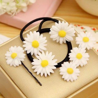 [BUÔN SỈ] 50 Cột tóc, kẹp tóc cúc họa mi