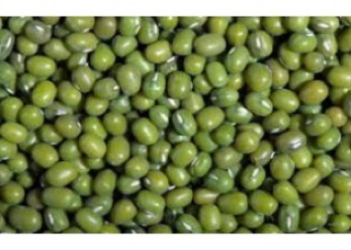 hạt giống cây đậu đỗ xanh cao sản DX-208 ( 50gr)