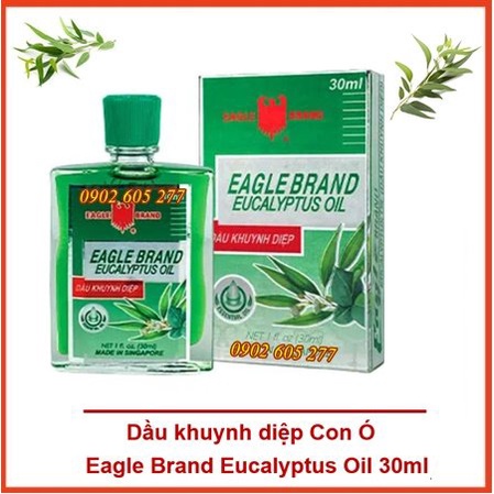 [CHÍNH HÃNG] Dầu khuynh diệp Con Ó của Mỹ Eagle Brand Eucalyptus Oil 30ml