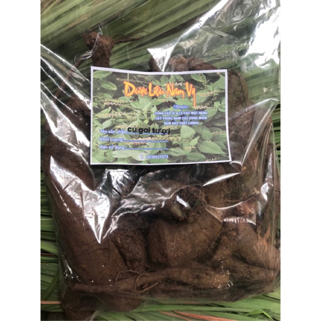 củ gai tươi 2kg