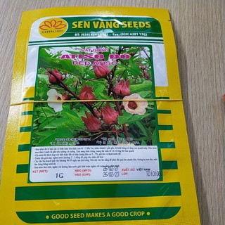 Hạt giống Atiso đỏ