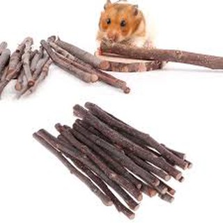 Cành táo mài răng, gậm nhấm cho hamster, thú cưng nhỏ, sóc, nhím, thỏ, bọ