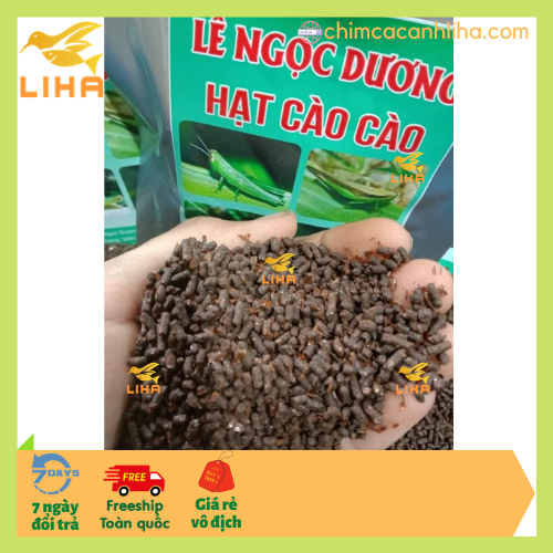 Hạt Cào Cào Lê Ngọc Dương 100gr - Thay Thế Cào Cào Tươi Cho Chim