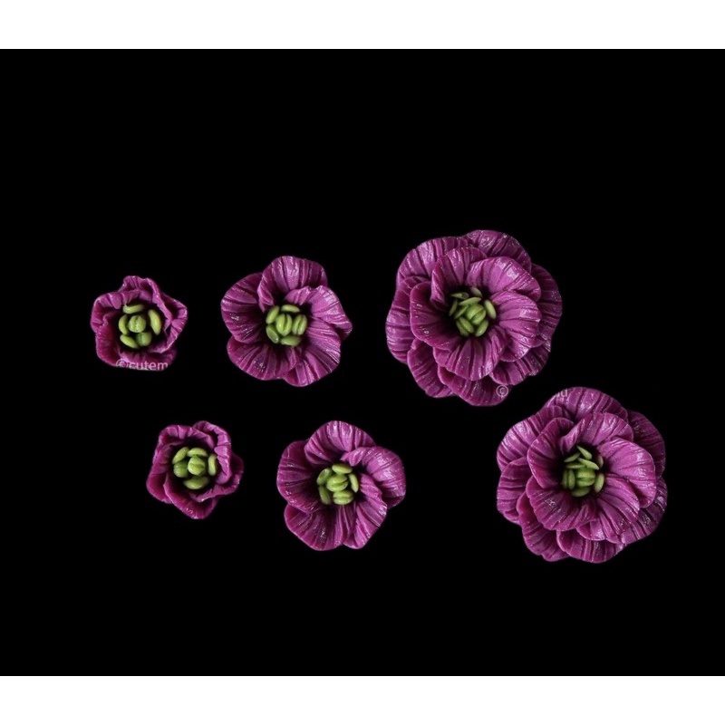 Set hoa V21-23
