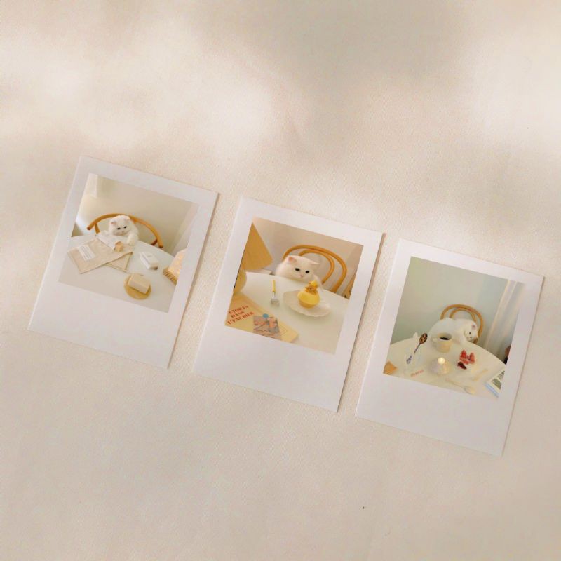 Set Postcard Polaroid decor, trang trí in hình Cat Boutique