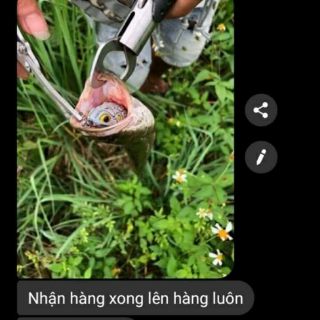 Mồi hơi câu cá HD toadfrog