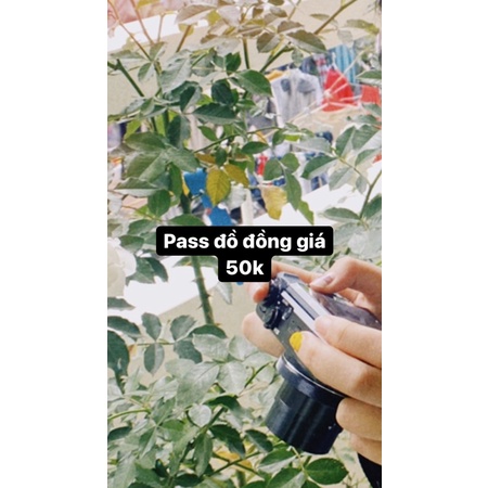 pass đồ 50k