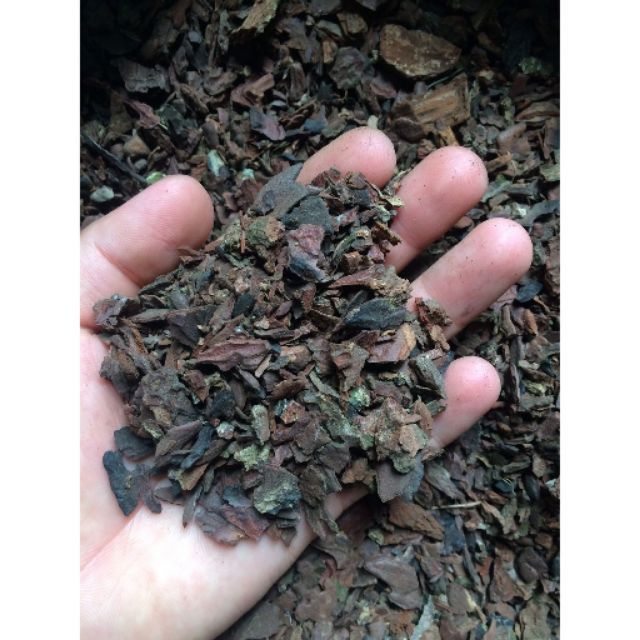 1 kg vỏ thông vụn