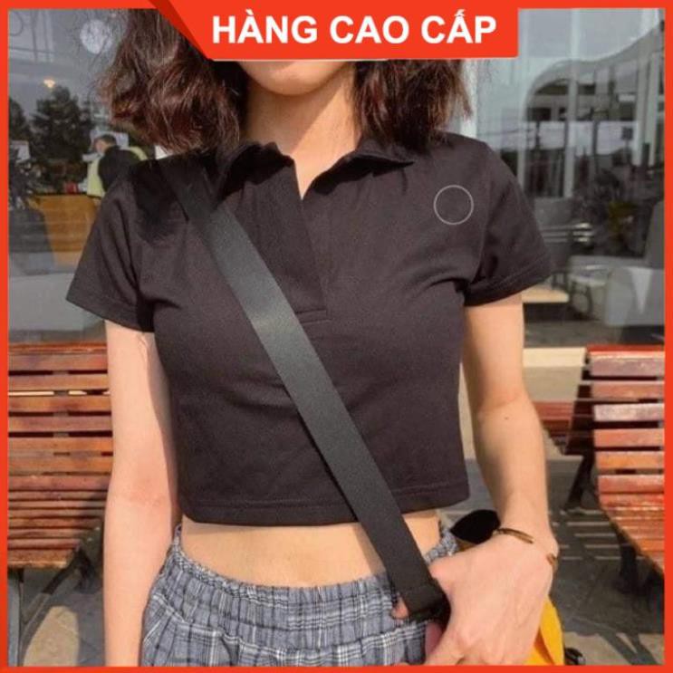 Áo Croptop Cổ Trụ PLO Tay Ngắn Dáng Ôm Ulzzang, Áo Croptop Có Cổ - [HÀNG CAO CẤP] | BigBuy360 - bigbuy360.vn