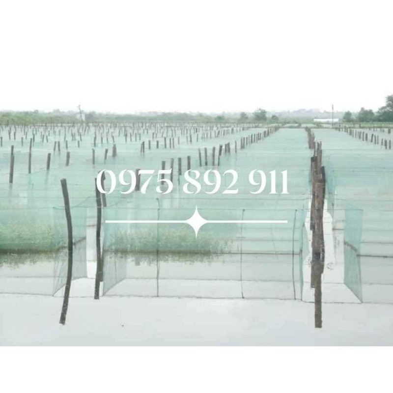 tráng lưới ươm ốc , ếch , cá 6m vuông - loại 3x2x1 siêu bền