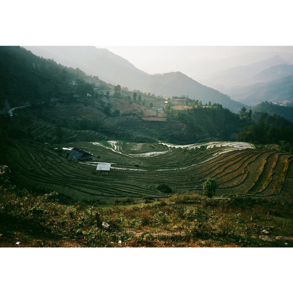 Máy ảnh film Nikon AF600