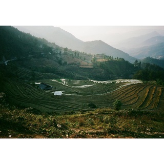 Máy ảnh film Nikon AF600