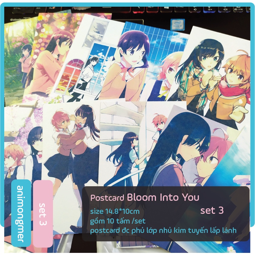 postcard bưu thiếp bloom into you