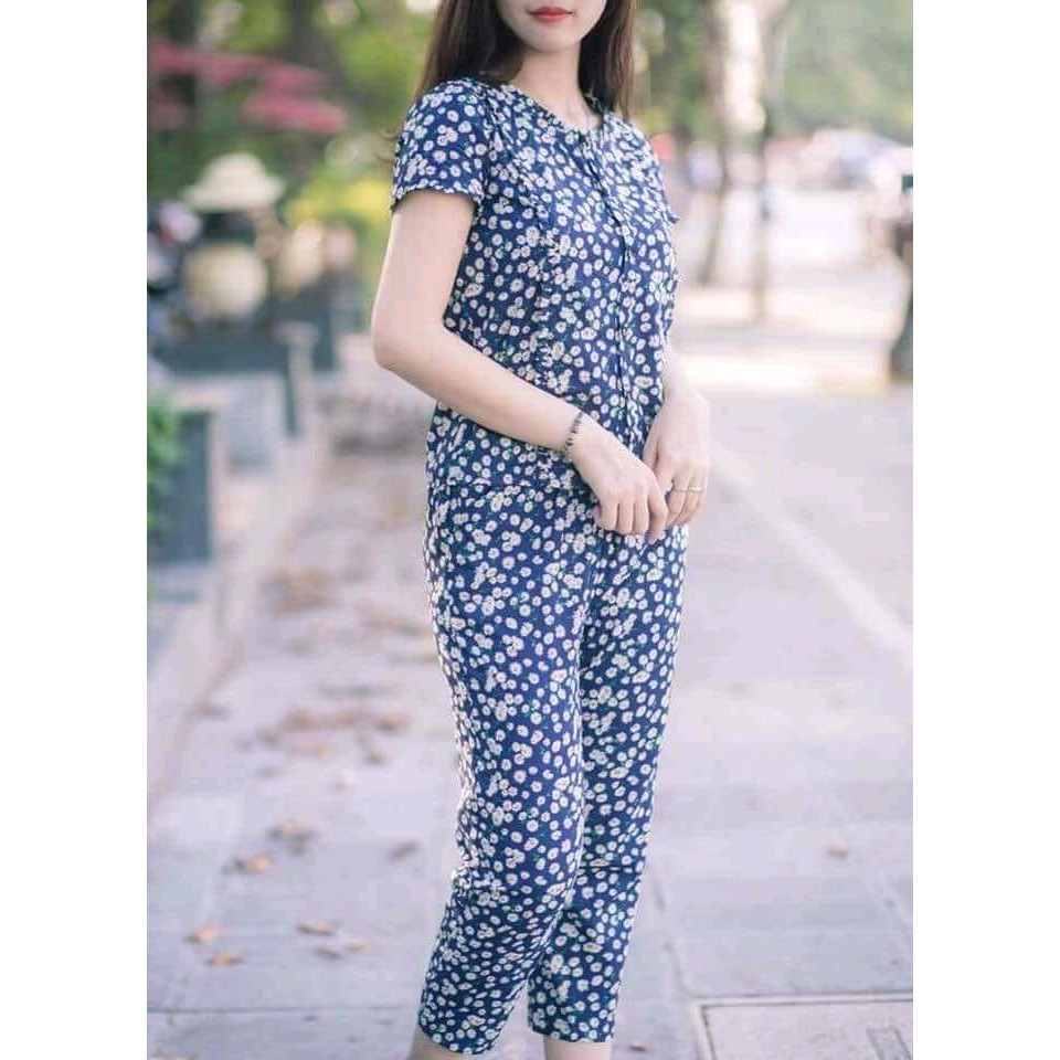 bộ hoa cúc