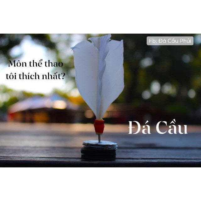 Cầu đá lông gà