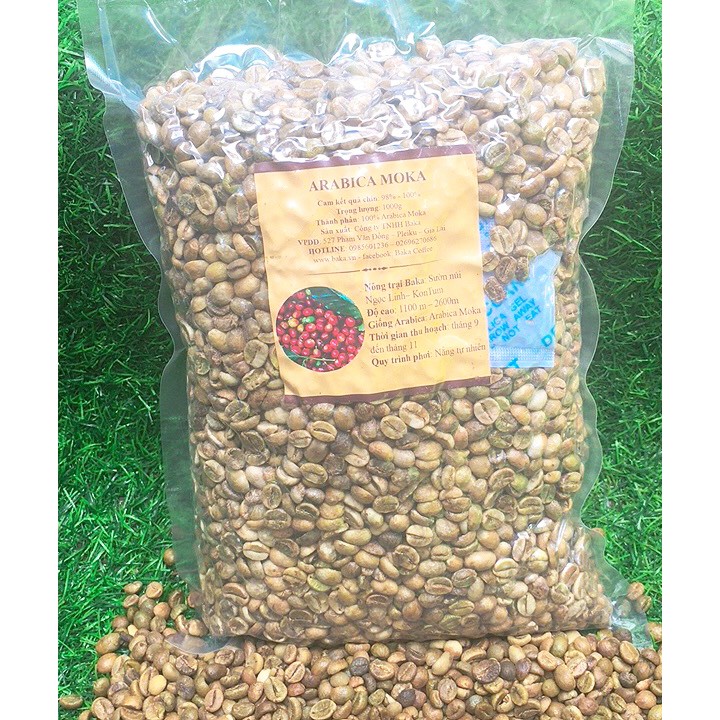 Cà Phê Nhân Arabica Moka (Bì 1kg)