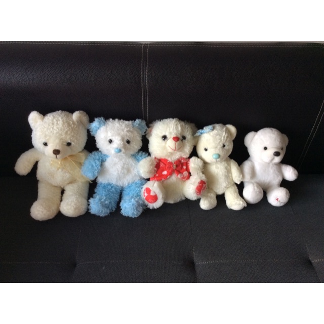 Set teddy