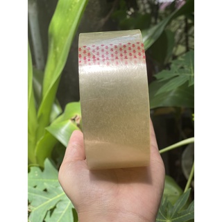 Combo 6 cuộn băng keo trong, đuc 4f8 - 100ya - 1kg