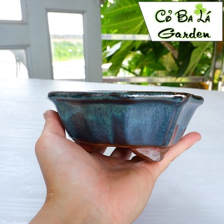 chậu cây bonsai  hình chiếc lá