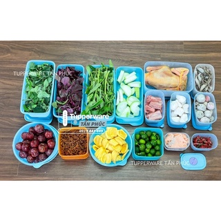 BỘ HỘP TRỮ MÁT & TRỮ ĐÔNG BLUE OCEAN SET 15