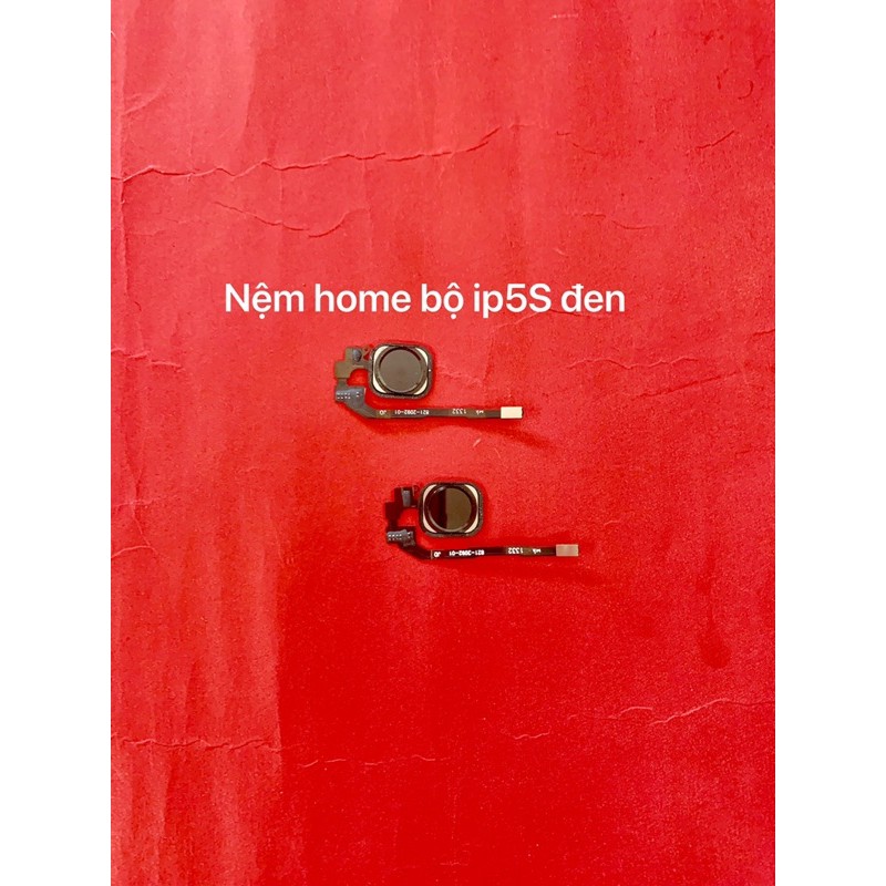 Nệm home iphone 5S bộ