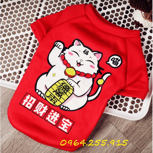 (sỉ từ 4x) nỉ chất đẹp