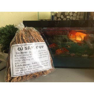 Sâm Đương quy Việt nam đẳng cấp