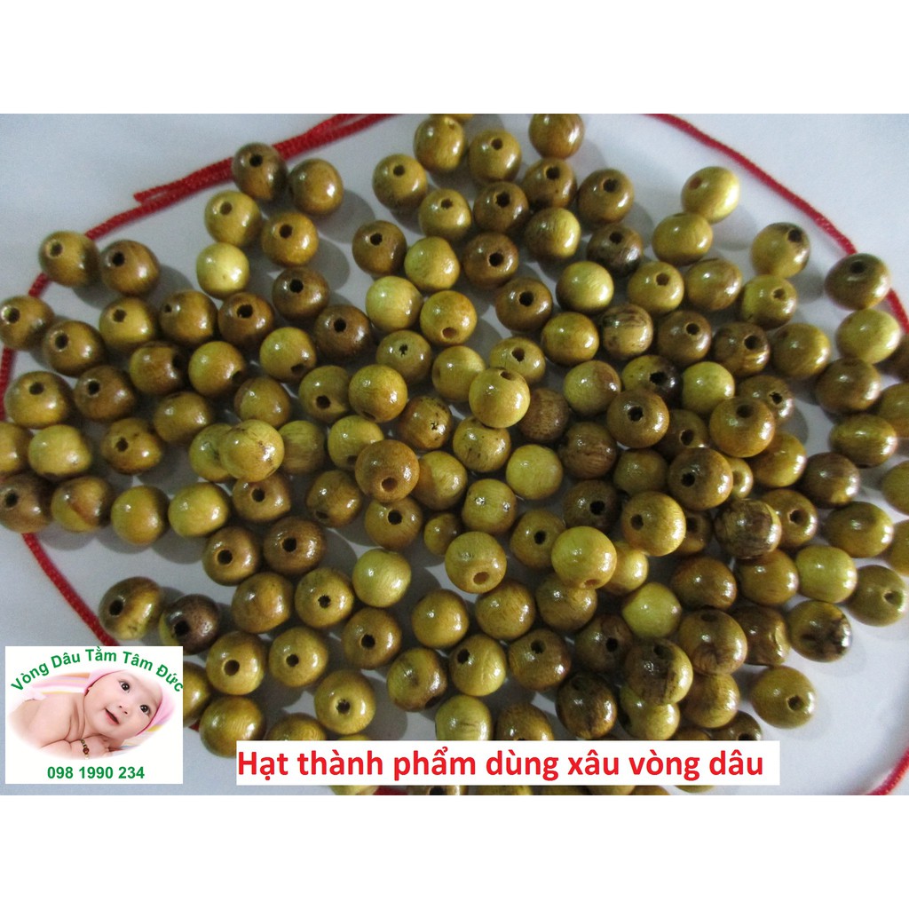 100g Hạt Gỗ Dâu Tằm