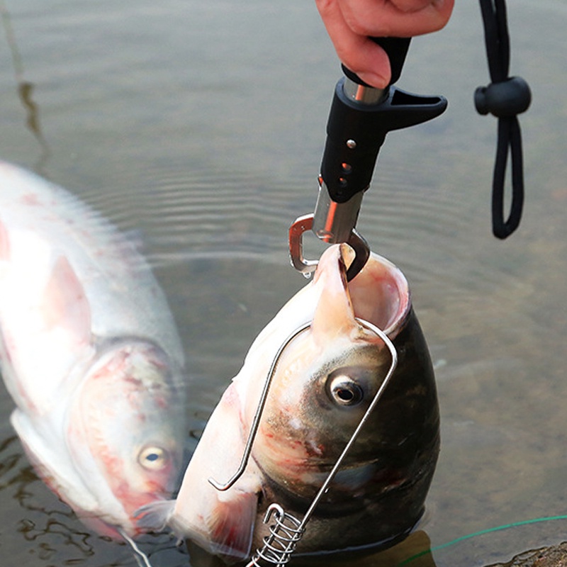 Thước Đo Chiều Cao Cá Bằng Thép Không Gỉ