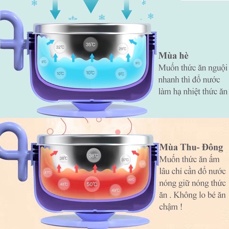 Bát Ăn Dặm chống đổ 🦊 Bát Ăn Dặm Cho Bé Có Nắp Đậy, Giữ Nhiệt hình con gấu dễ thương - Khay ăn dặm chia ngăn - 450ml