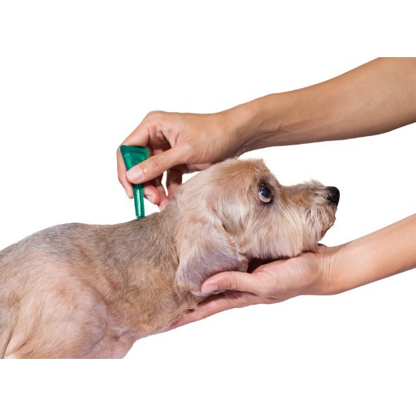 Frontline Plus For Dogs Nhỏ Gáy Phòng Và Trị Ve Rận Bọ Chét Cho Chó 10kg-20kg