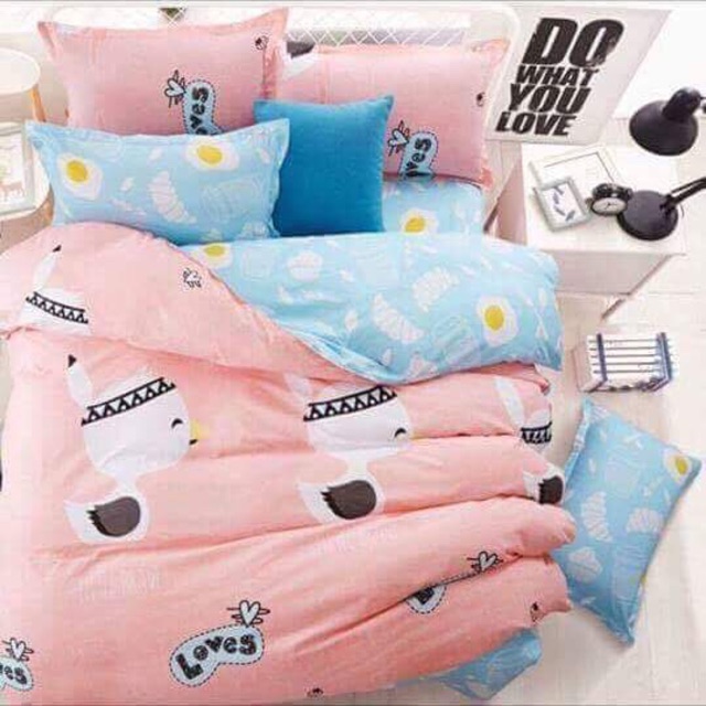 FULL SET CHĂN GA GỐI POLY COTTON