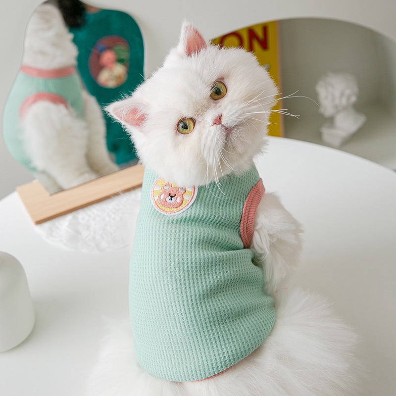 áo thun gấu viền màu cho chó mèo