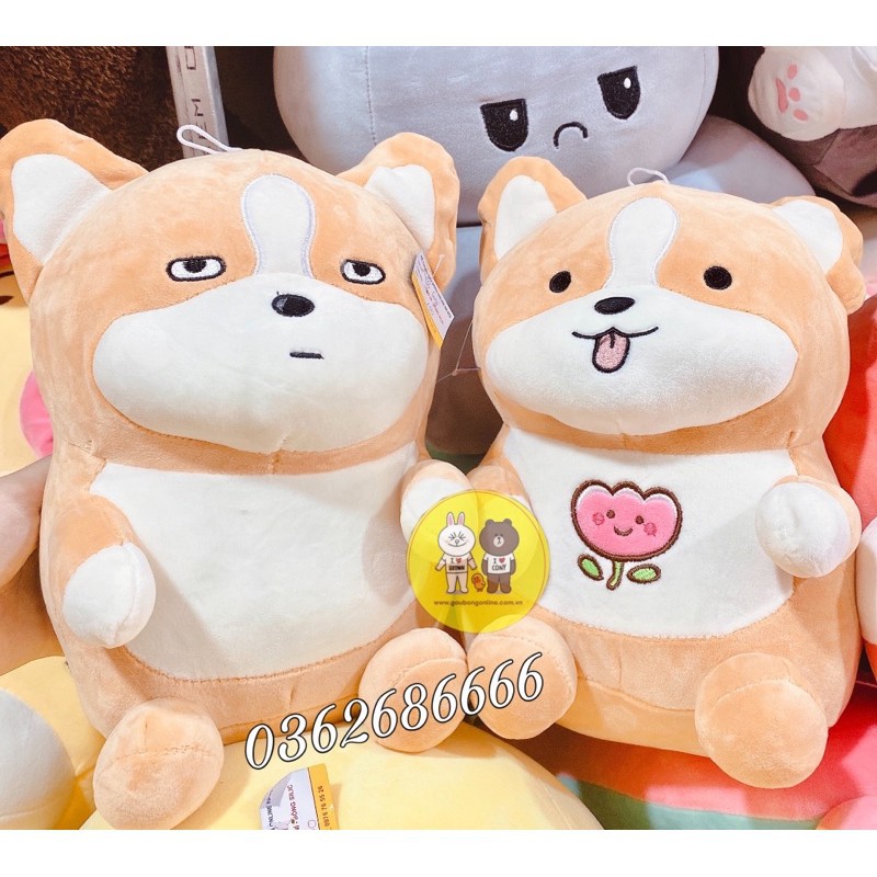 Gấu bông chó Corgi 2 kiểu biểu cảm dễ thương kích thước 35-50-60cm NEOCI