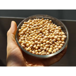 Đậu nành hữu cơ 500g