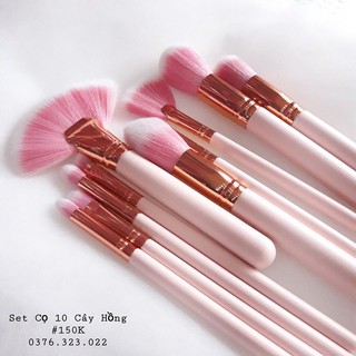 Set Cọ 10 Cây Hồng