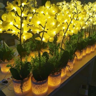 Chậu Hoa Lan Hồ Điệp (Tím và Vàng kèm chậu) có đèn Led trang trí nhà, quà tặng