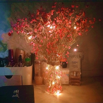 Dây đèn LED trang trí Giáng Sinh 1M/2M/3M/5M