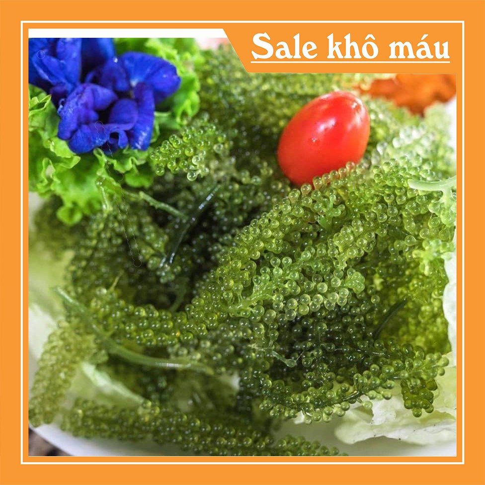 [Mã GROSALE2703 giảm 8% đơn 250K] 1 ký rong nho tách nước nở ra thành 3 ký rong nho tươi tặng 1 chai xốt mè rang 180ml | BigBuy360 - bigbuy360.vn