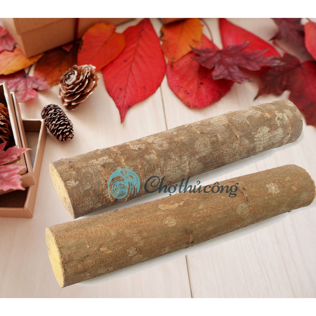 Combo 2 khúc củi khô trang trí - khúc gỗ tự nhiên đẹp decor lò sưởi, trang trí noel giáng sinh