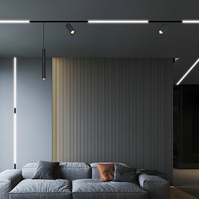 ĐÈN LED RAY NAM CHÂM 48V - ĐÈN THẢ