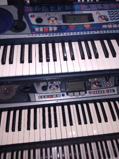 Đàn ocgan nhật bãi