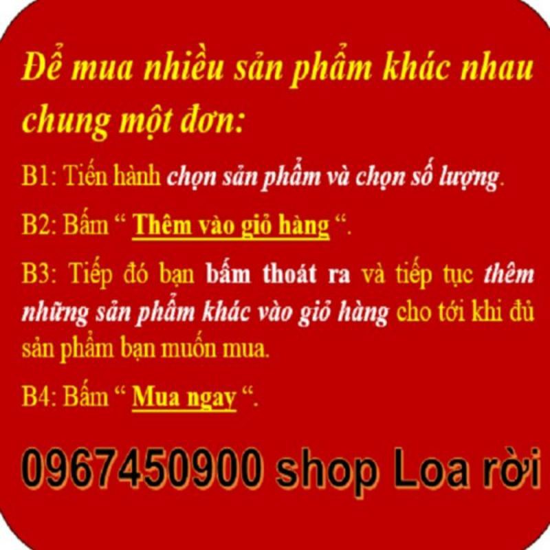 Loa bass 25 bmb _ 2 tấc 5 nam châm kép : 1 chiếc