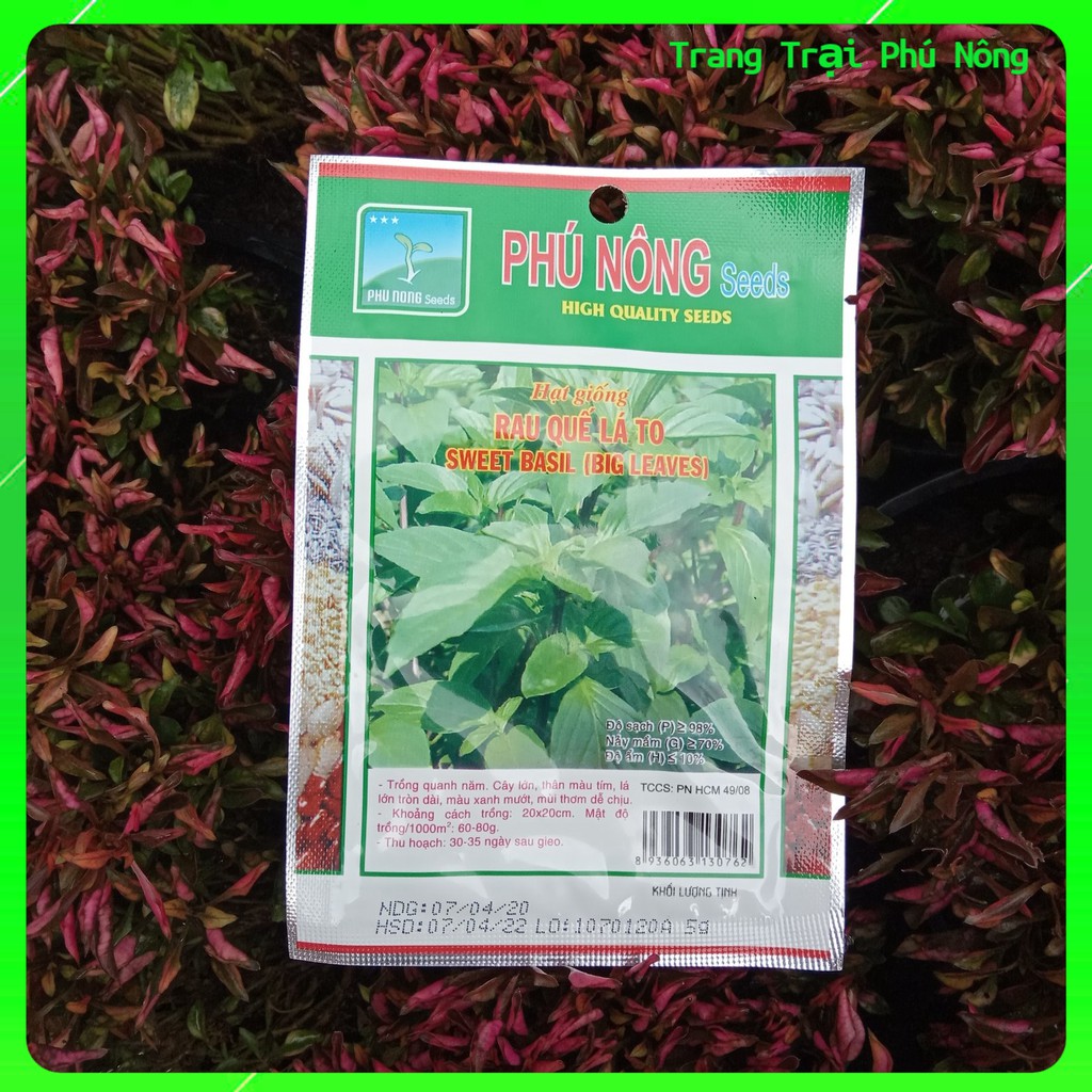 Hạt Giống Rau Quế Lá To Phú Nông - Gói 5g -Sweet Basil